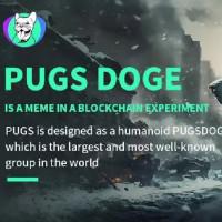 PugsDoge